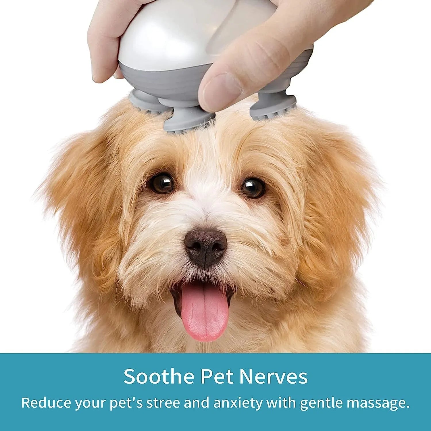 Blue handheld electric pet massager with four rotating heads on a white background.
