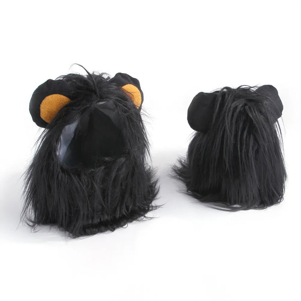 Pet cat wearing a black lion wig hat with synthetic fur mane, standing on a white background