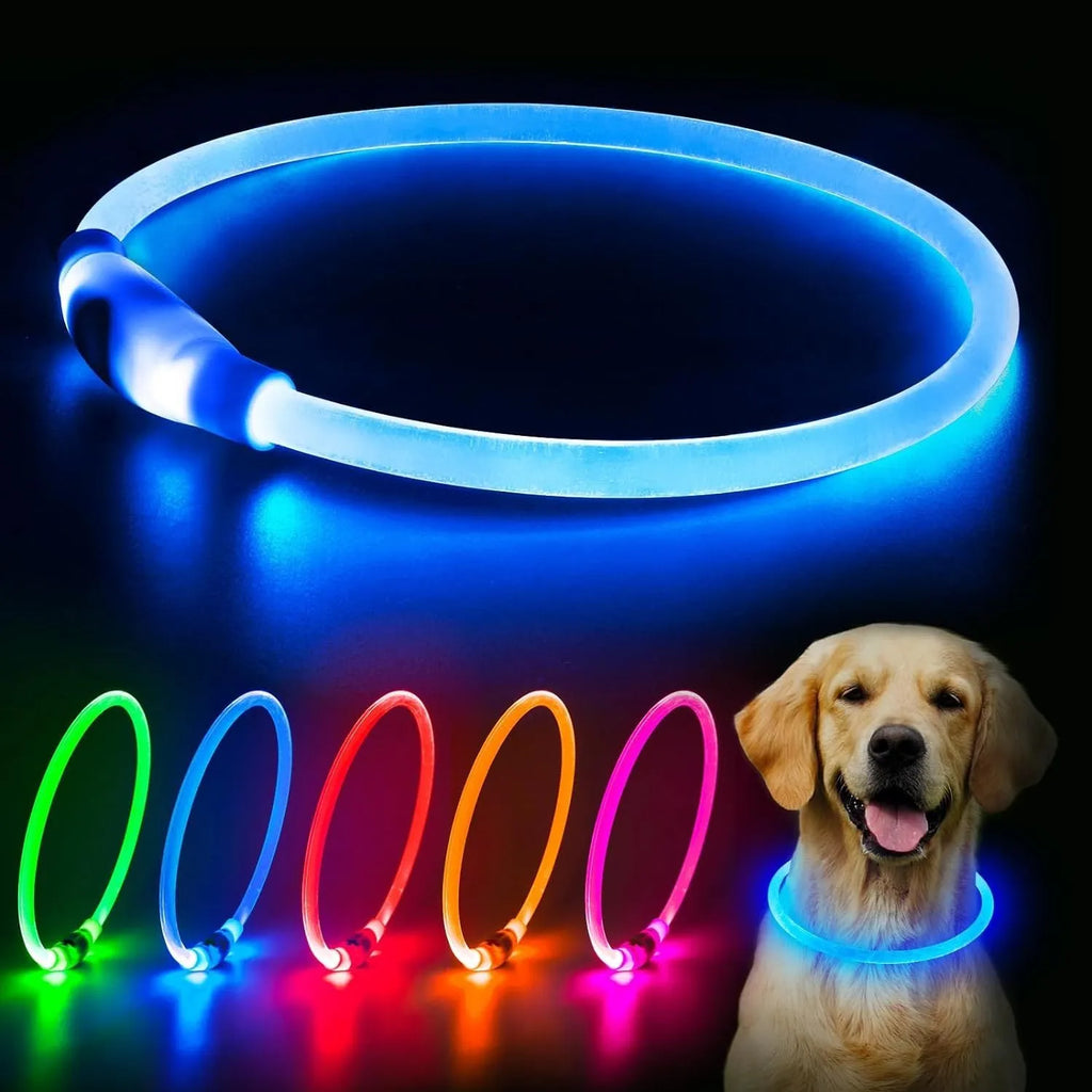 Blue USB-rechargeable LED dog collar glowing on a pet's neck for night-time safety.