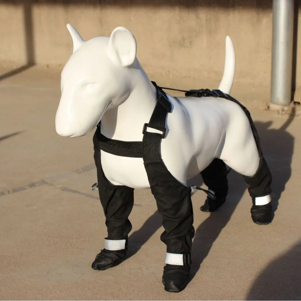 Black waterproof dog shoes with adjustable straps on a dog's paw.