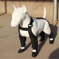 Black waterproof dog shoes with adjustable straps on a dog's paw.