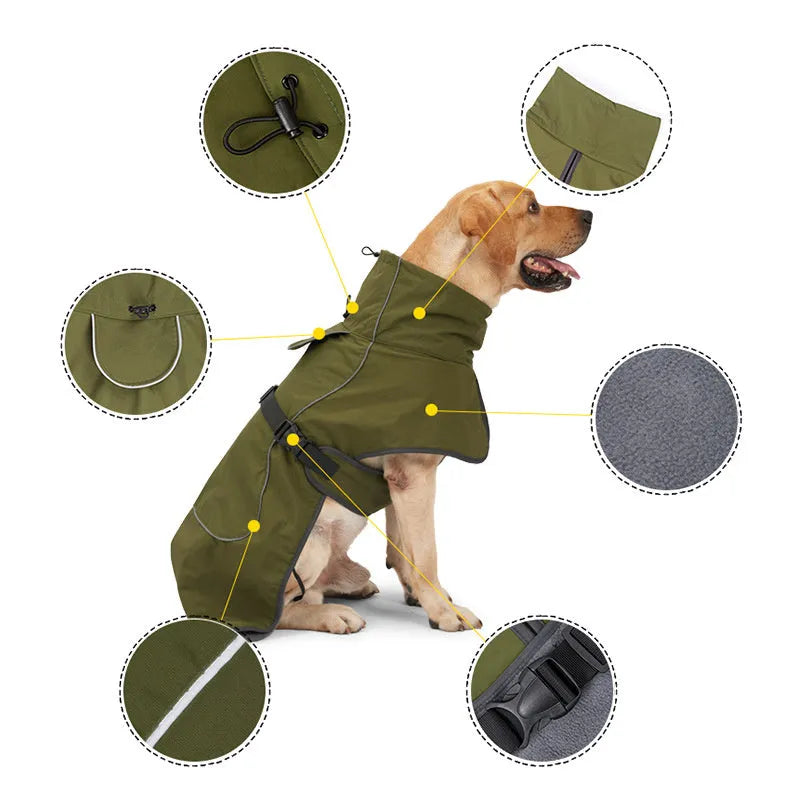 Medium to large dog wearing winter snowproof coat in army green made from waterproof nylon with casual style