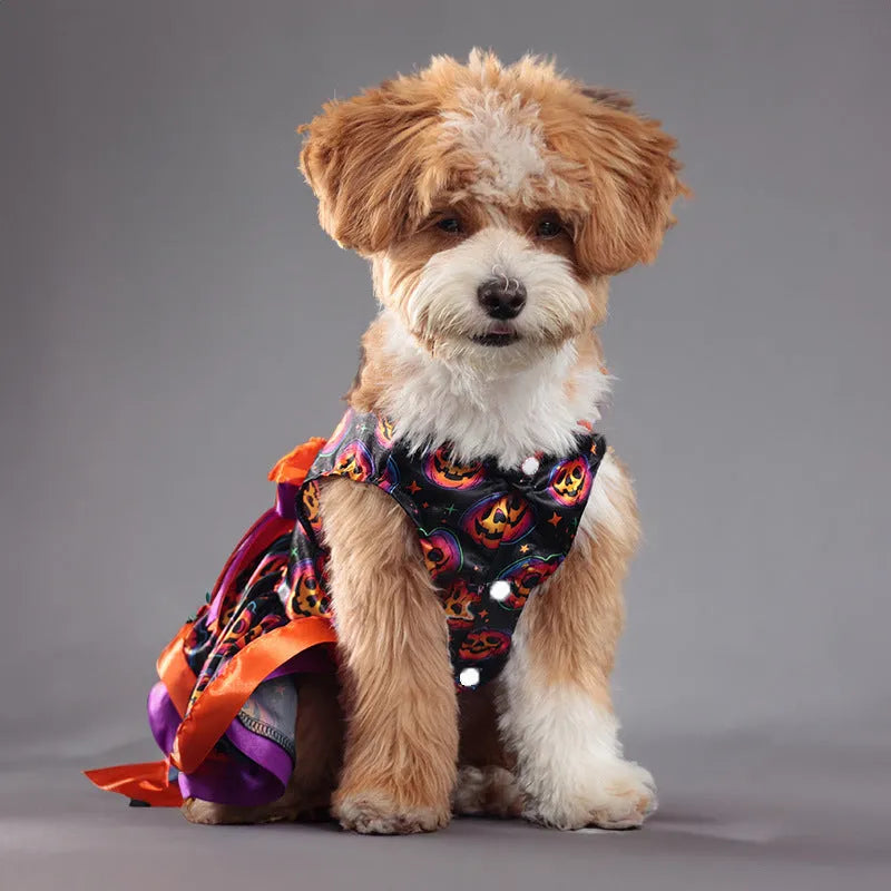 Halloween dog skirt with colourful pumpkin print, double-layer design, shown on a dog