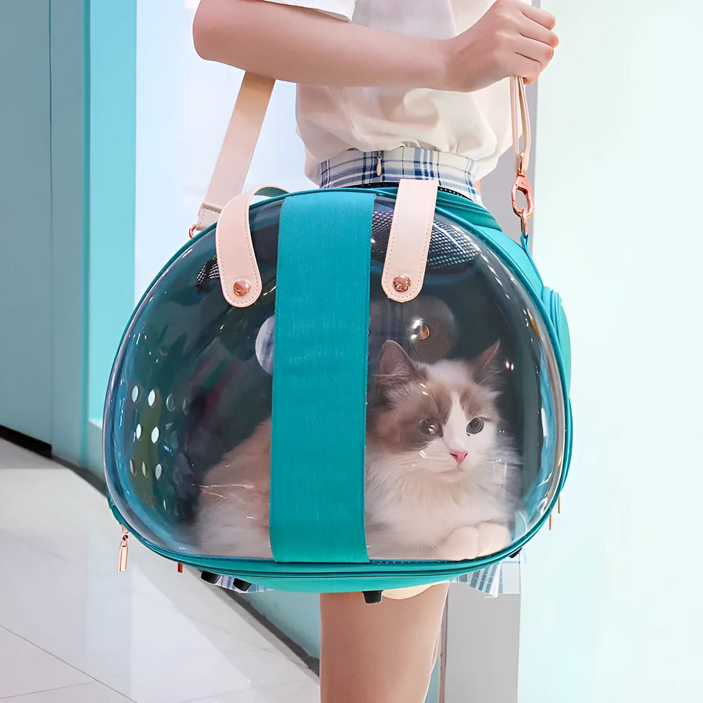 Double Fish transparent PVC dog bag pet backpack with ventilation holes and locking mechanism in sky blue