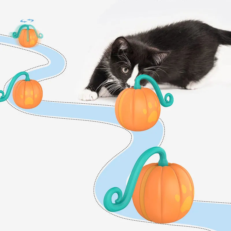 Electric LED light-up cat ball toy in watermelon red and green or orange pumpkin design.