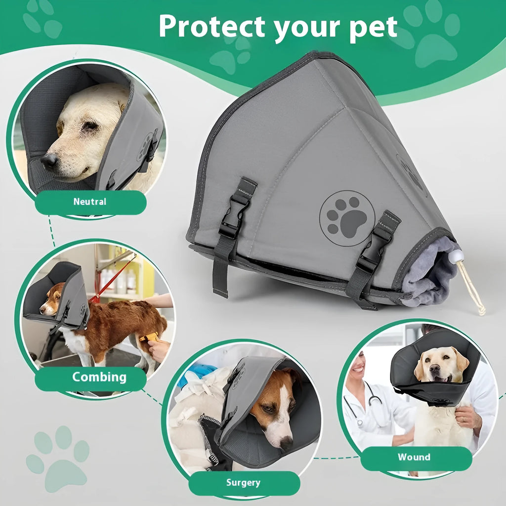 Adjustable polyester pet sterilization collar shown in a casual style, available in three sizes.