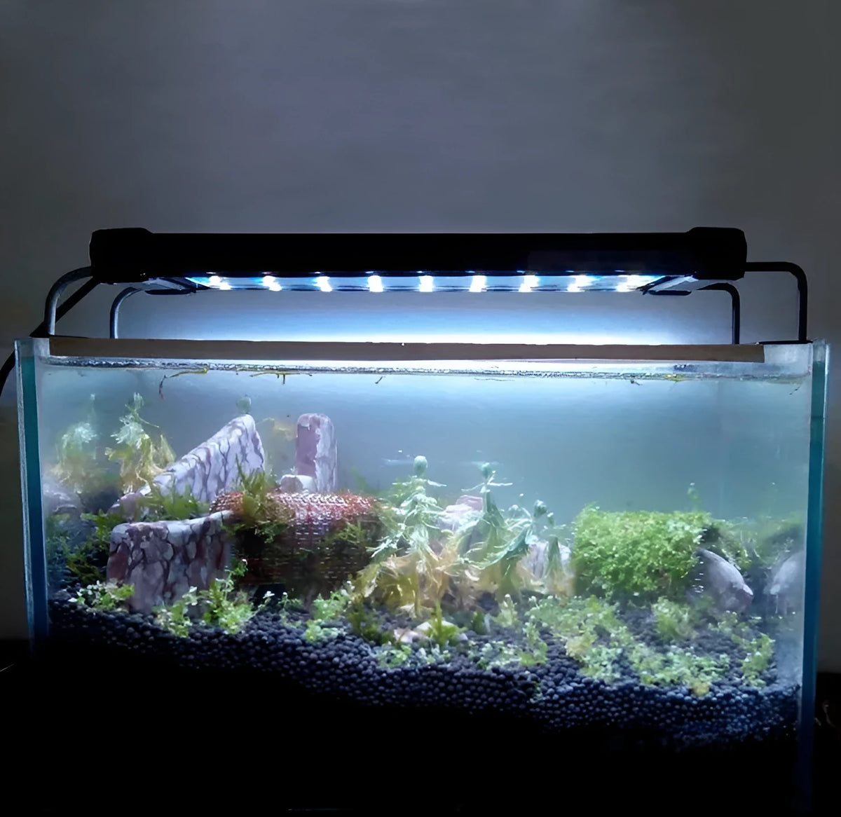 Aquarium LED lighting lamp with extendable bracket for freshwater fish tank, 2300 lumens, 8500K