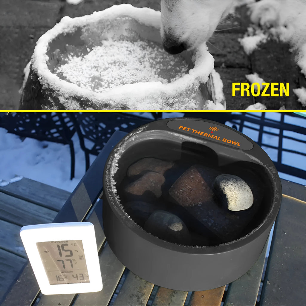 Black ABS plastic pet heating bowl with 2.2 litre capacity