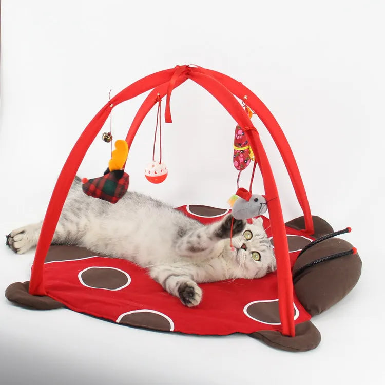 Canvas cat playing bed in Coffee colour on wooden floor with cat toy