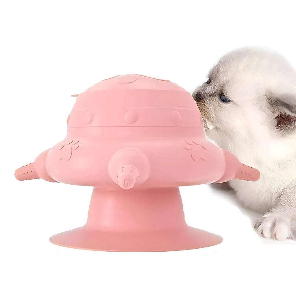 Pink silicone pet nursing milk bowl with four pacifiers and flat base for puppy or kitten feeding