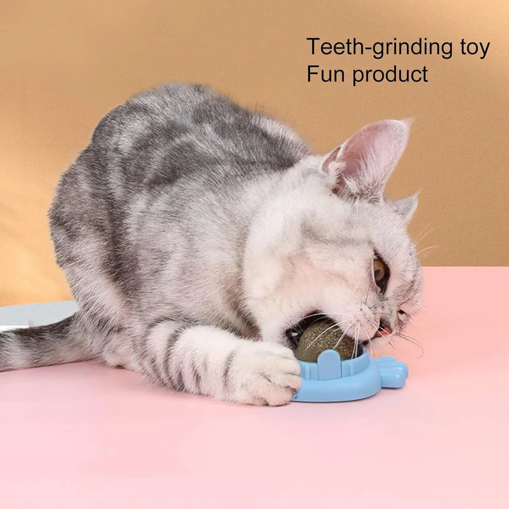 Blue carrot-shaped self-adhesive catnip toy for wall mounting and teeth cleaning.