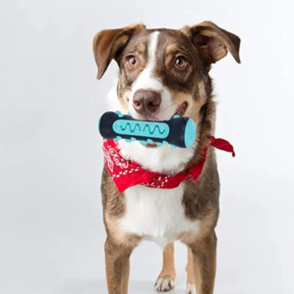 Natural rubber dog dental chew toy in blue colour with textured cleaning surfaces.