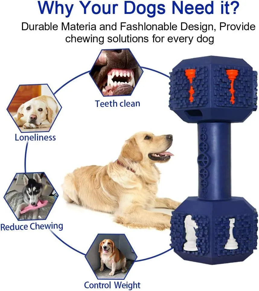 A blue dumbbell-shaped dog chew toy with a textured surface and hollow ends for treats.