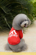 Warm hoodie for small dogs and cats in black, gray, red, yellow, sizes XS to XXL