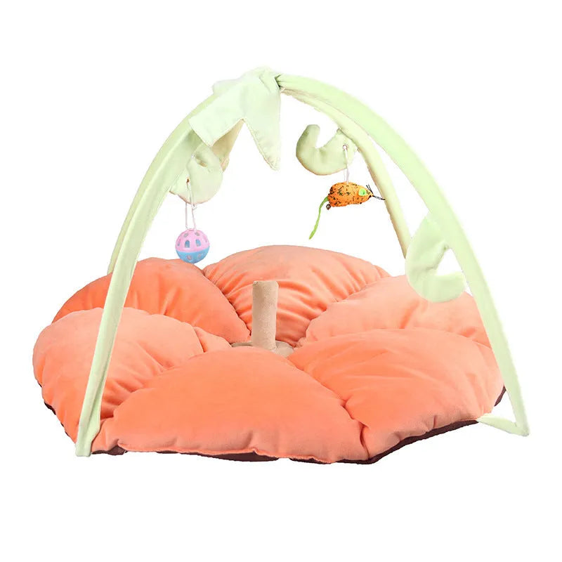 Canvas cat playing bed in Coffee colour on wooden floor with cat toy