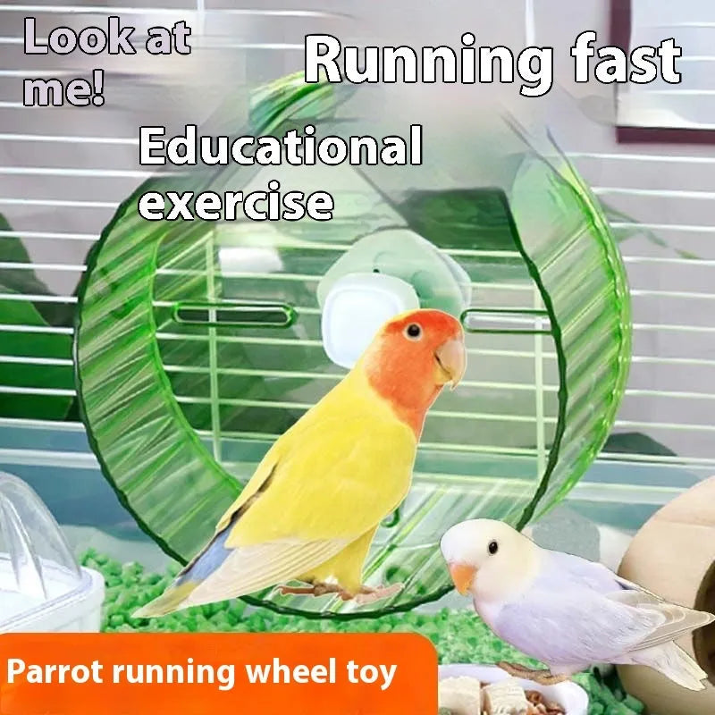 Plastic parrot running wheel toy in transparent, green, grey, orange, or purple colour, showing 17cm and 21cm size options.