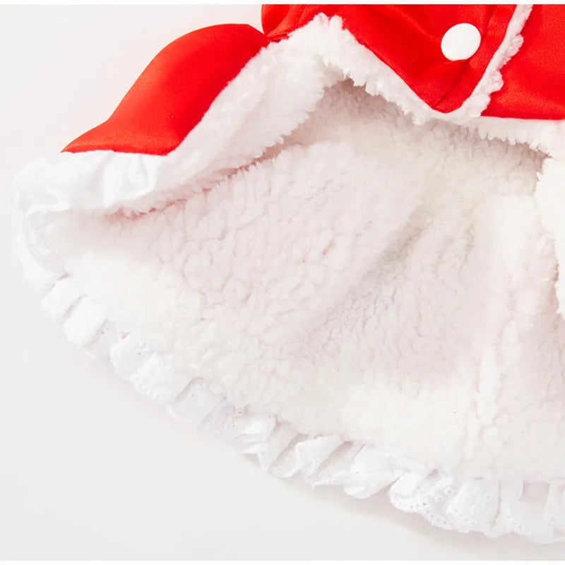 Lion dance pet costume cotton-padded red dog and cat warm clothing with tassels