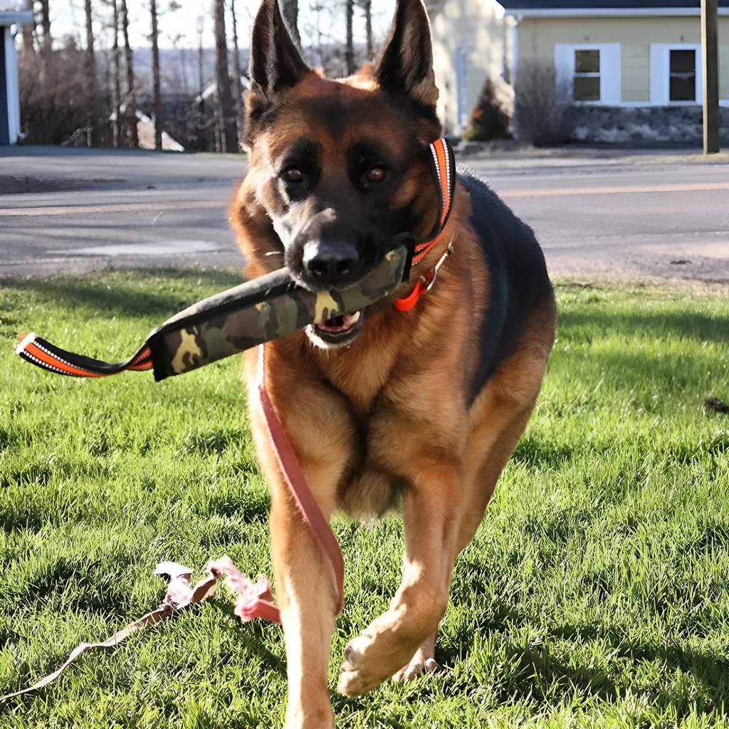 Reflective dog training jute bite stick with yellow edge, 55 cm length, on outdoor grass