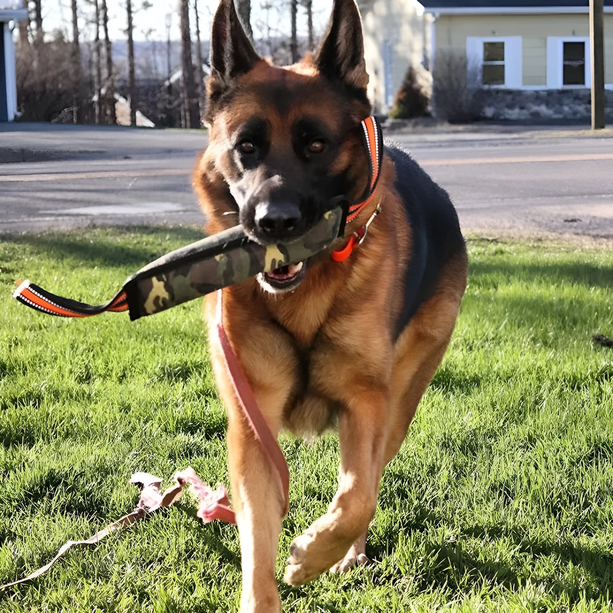 Reflective dog training jute bite stick with yellow edge, 55 cm length, on outdoor grass