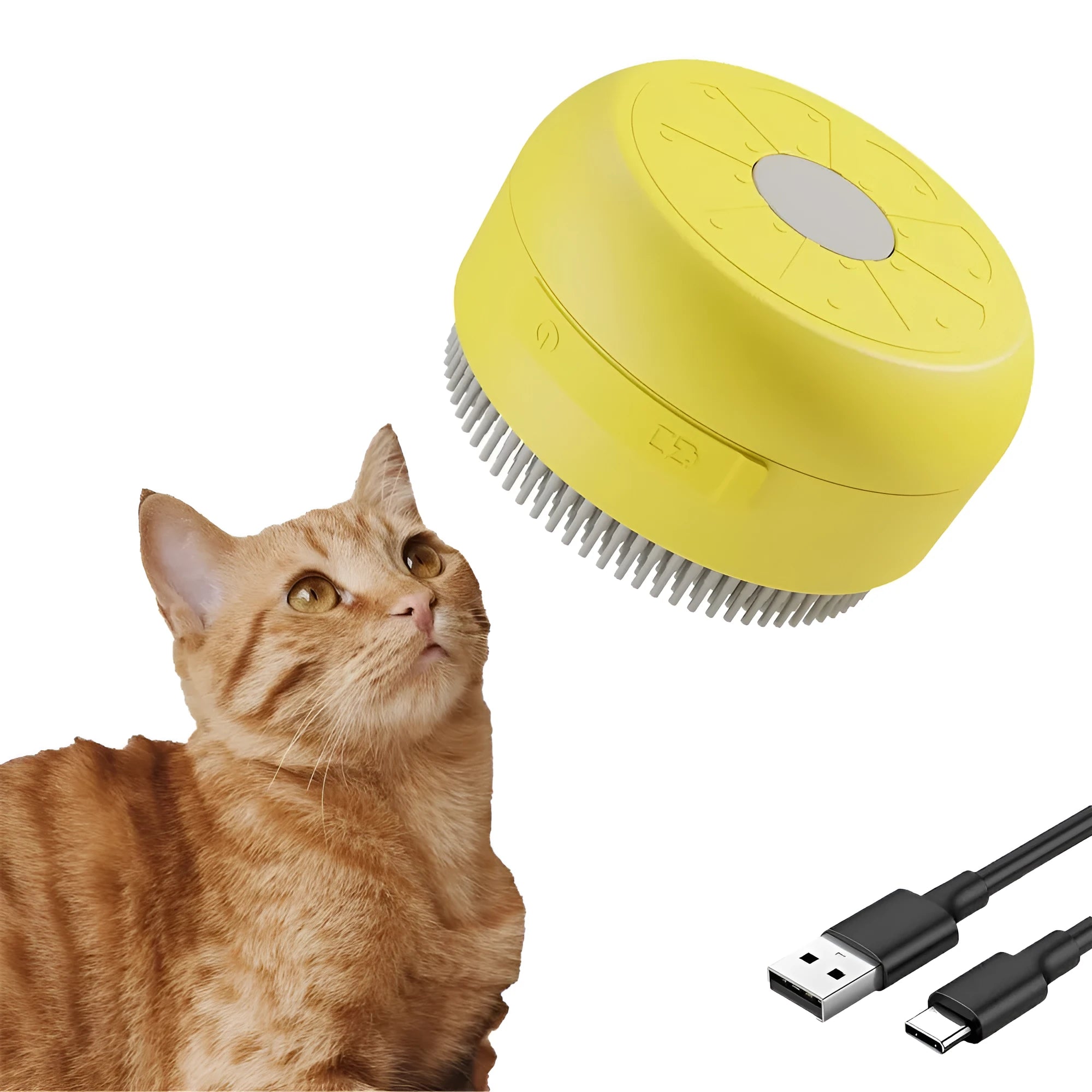 Green rechargeable cat dog steam brush with silicone bristles for hair removal and massage