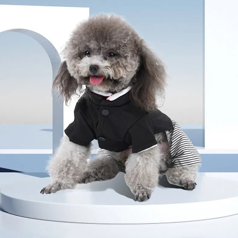 Thin cotton poodle dog clothes in four-legged pants and skirt styles for seasonal wear