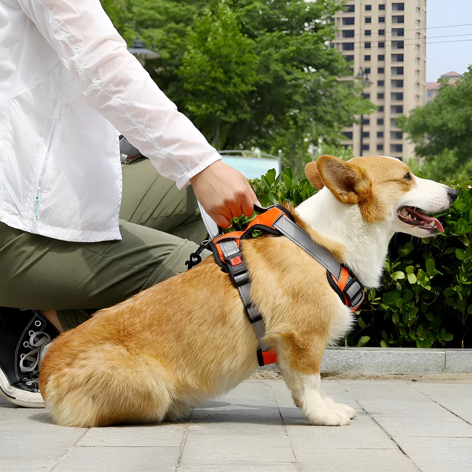 Adjustable dog harness with hand holding rope on back in various colours and sizes