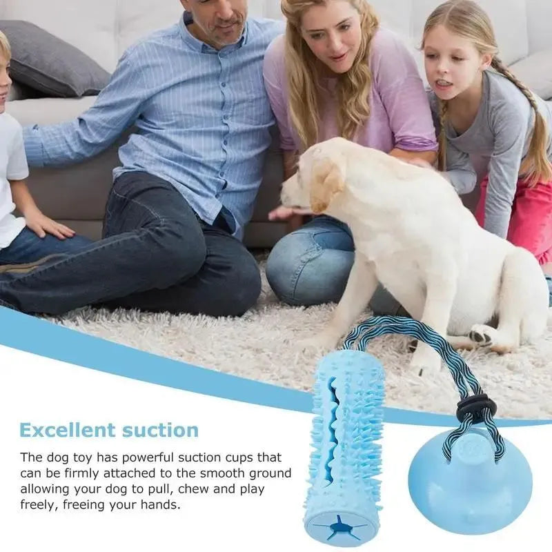 Blue and pink dog chew ball toy with suction cup and food dispenser on tiled floor
