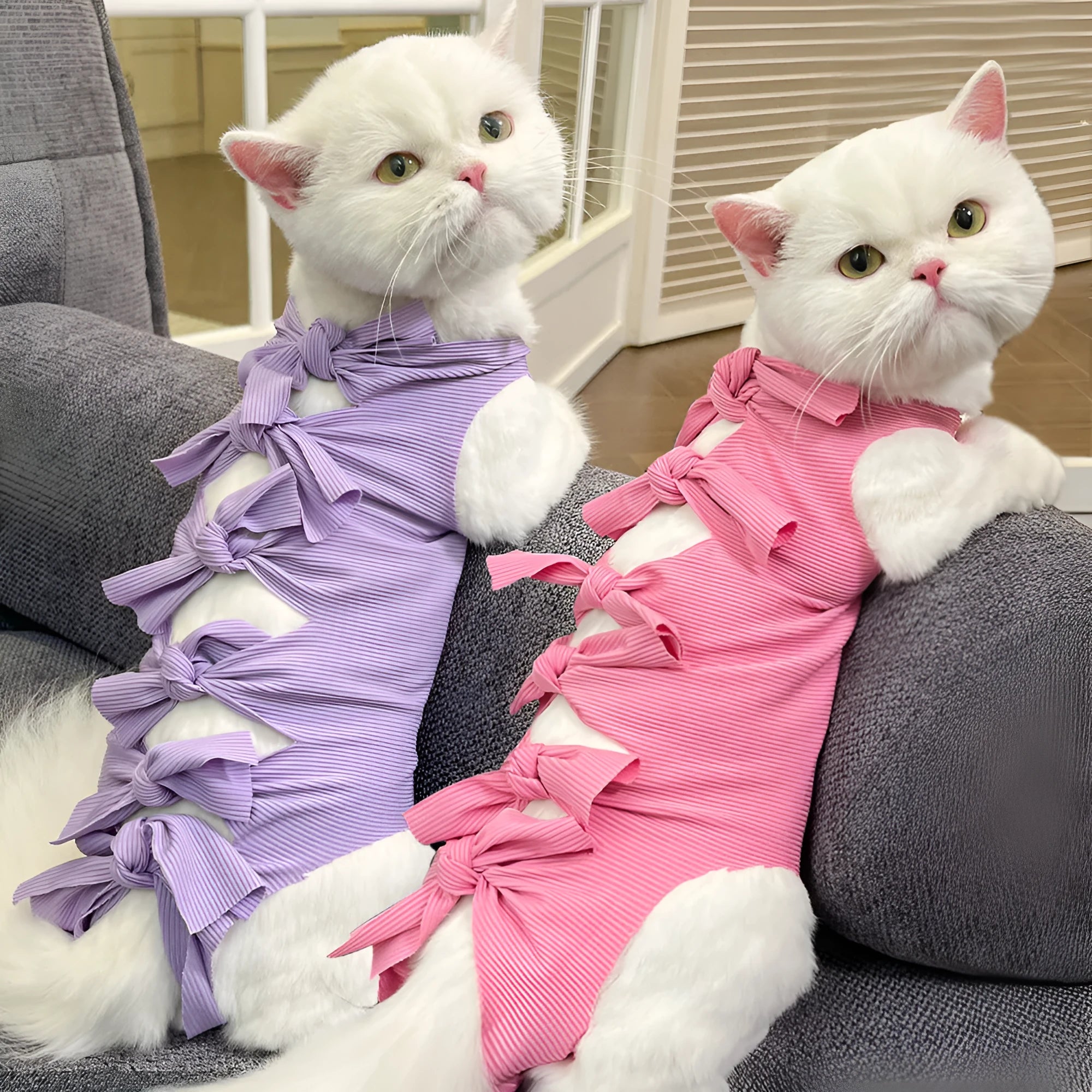 Lace-up back closure cat sterilisation recovery suit in polyester fabric