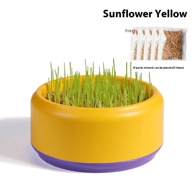 Hydroponic cat grass kit with blue, green, and yellow reusable plastic cups and five seed packs