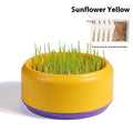 Hydroponic cat grass kit with blue, green, and yellow reusable plastic cups and five seed packs