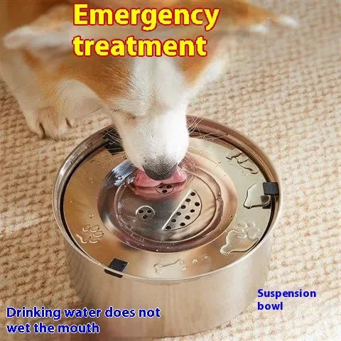 Silver stainless steel pet drinking water bowl, large capacity up to 5.6 litres, for dogs and cats