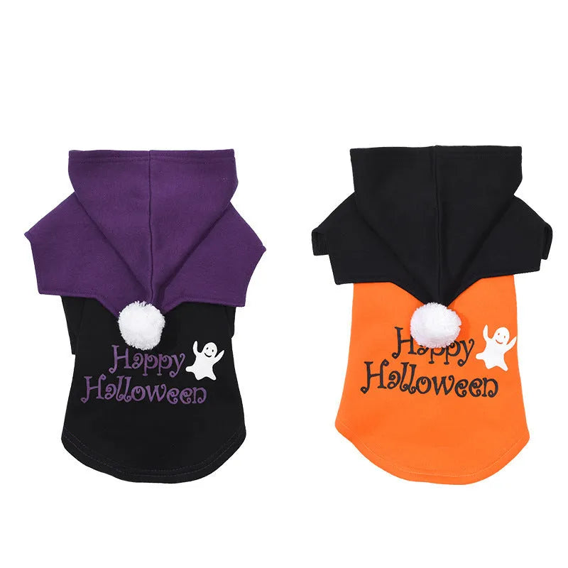 Black and orange Halloween pumpkin dog costume with sweater and shawl on pet