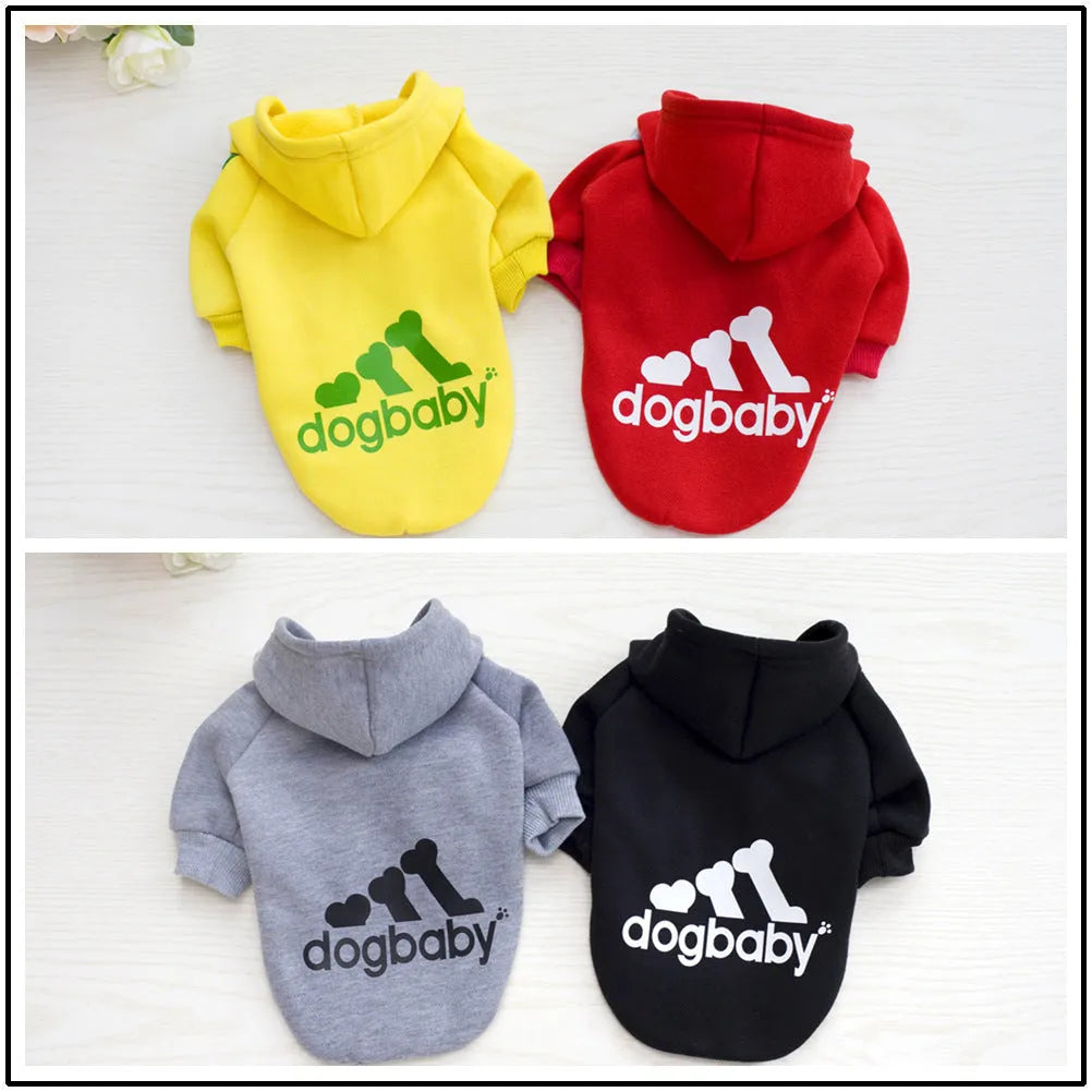 Warm hoodie for small dogs and cats in black, gray, red, yellow, sizes XS to XXL