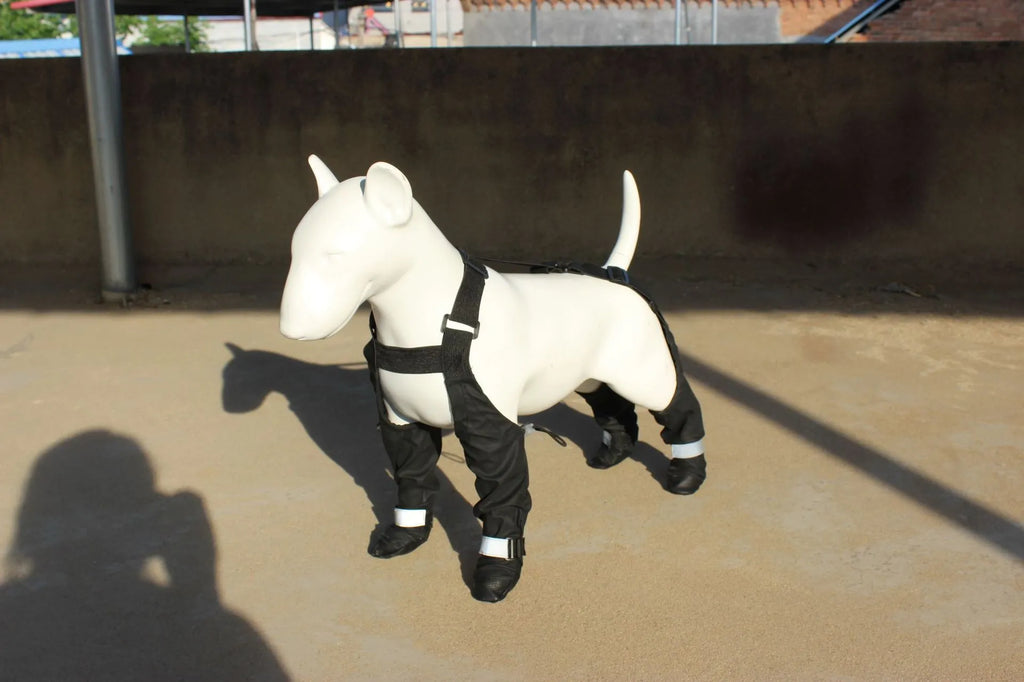 Black waterproof dog shoes with adjustable straps on a dog's paw.