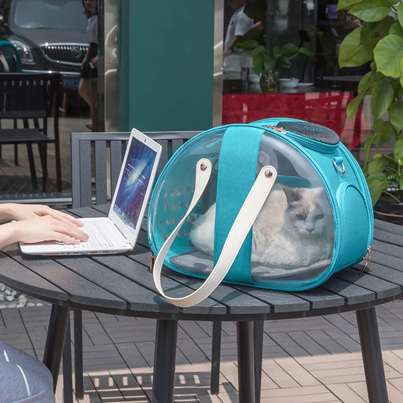 Double Fish transparent PVC dog bag pet backpack with ventilation holes and locking mechanism in sky blue