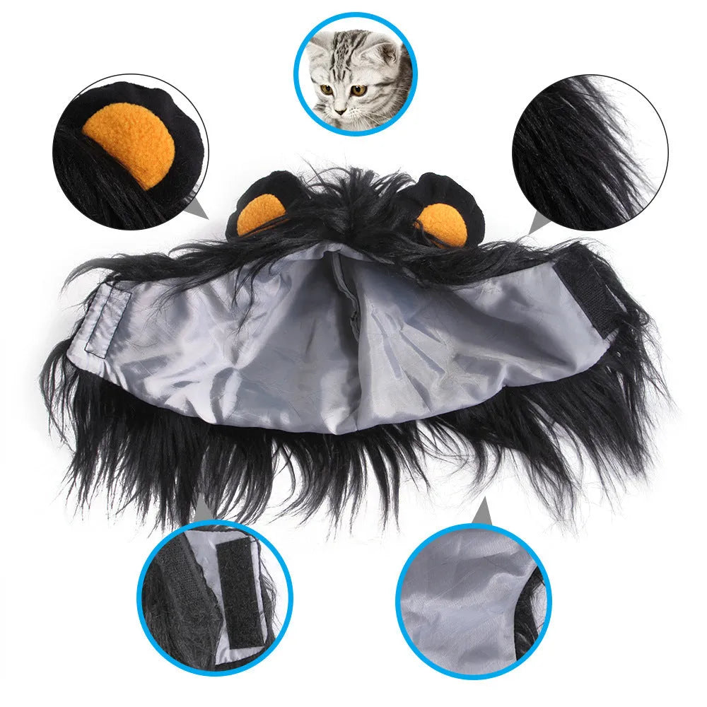 Pet cat wearing a black lion wig hat with synthetic fur mane, standing on a white background