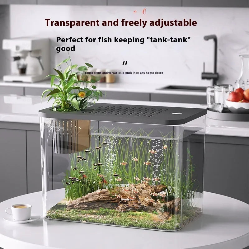 Medium plastic betta fish tank with cover measuring 32cm x 18.5cm x 23cm in black or white colour