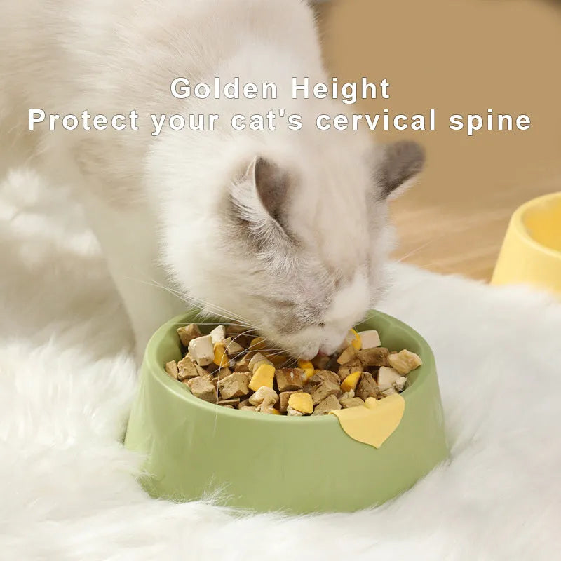 Green plastic double pet bowl for cats and dogs with anti-tipping base and separate food and water compartments