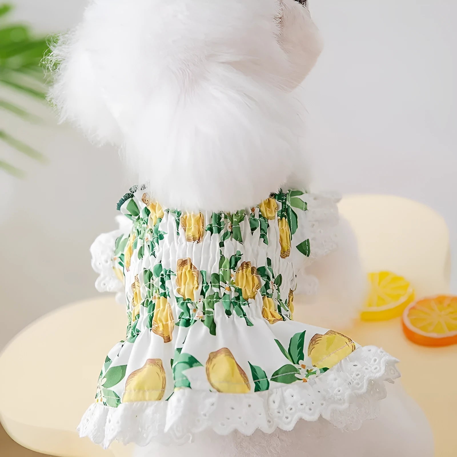 Rock yellow lemon polyester dog dress with thin strap skirt design shown on mannequin