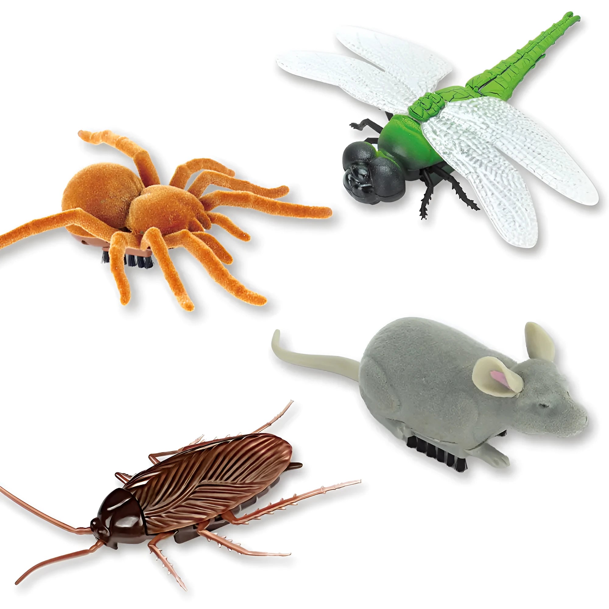 Vibration walking pet toy with cockroach, tarantula, mouse, and dragonfly designs on 11x5cm plastic base