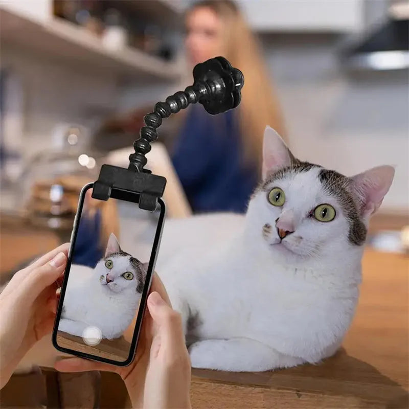 Black plastic pet photography clip tool holding mobile phone with snack grip attachment
