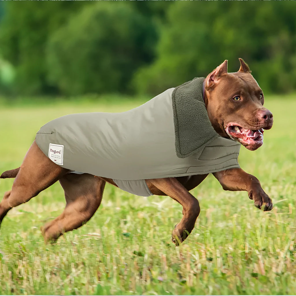 Lapel turtleneck dog cotton-padded vest in khaki green, side view on small breed dog, cold-proof warm pet clothing