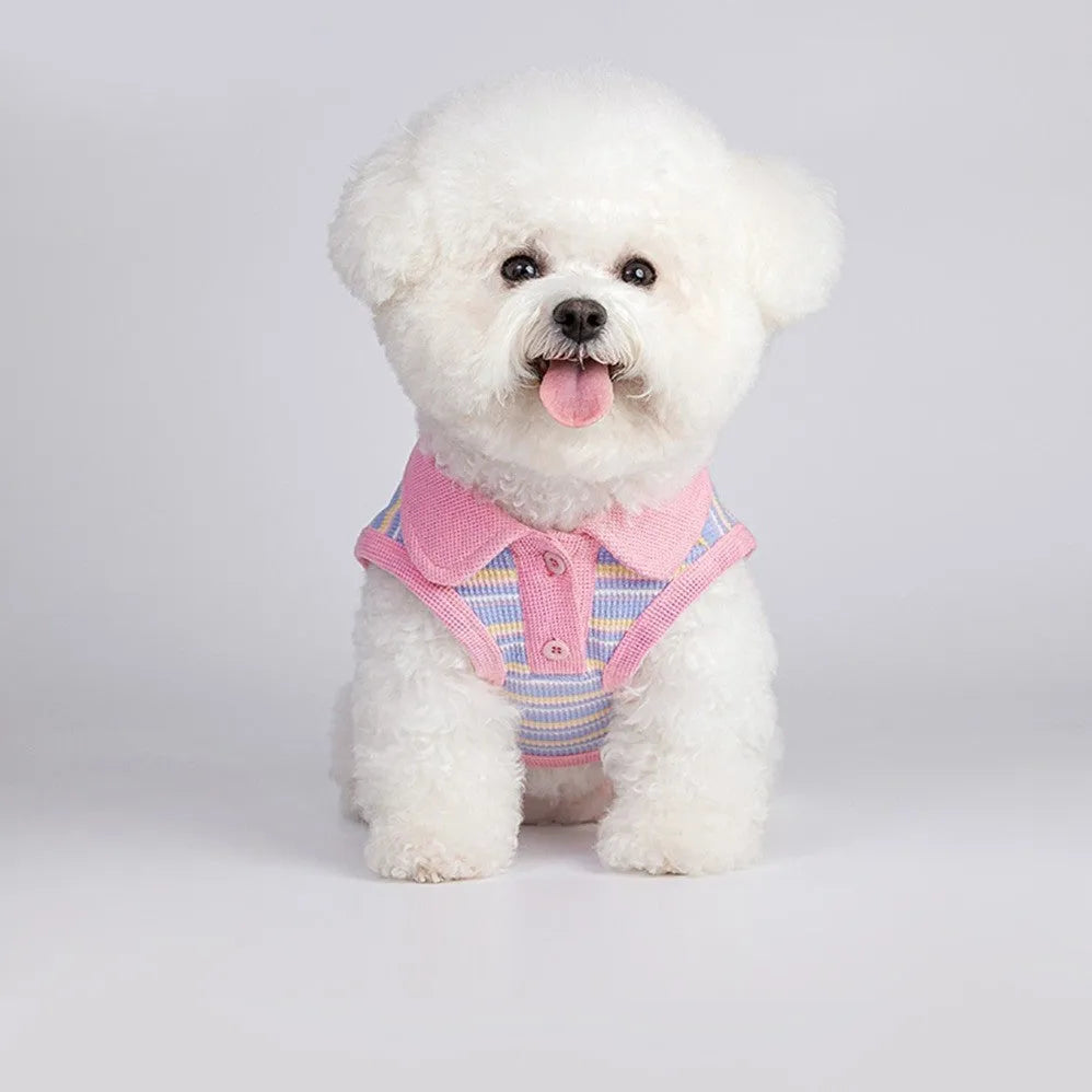 Pink purple knitted vest for small dogs and cats shown on size chart from XXS to XXL.