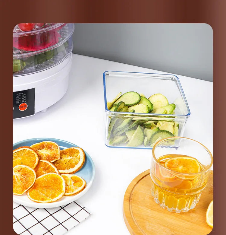 Five-layer household food dehydrator with UK plug on kitchen countertop