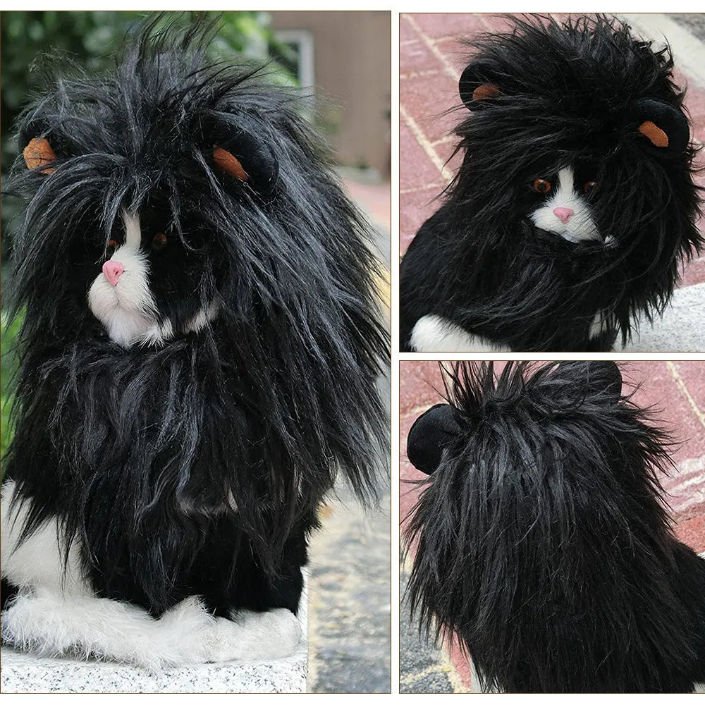 Pet cat wearing a black lion wig hat with synthetic fur mane, standing on a white background