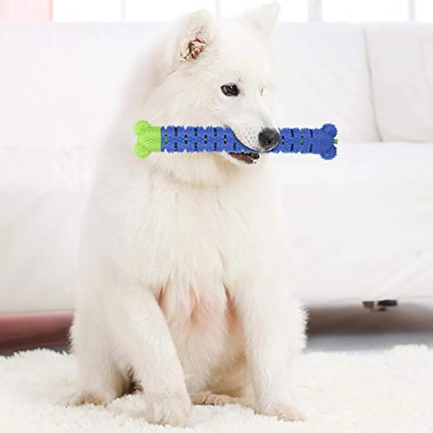 Blue and green silicone dog dental cleaning stick with textured bristles and nodules, 25 cm length