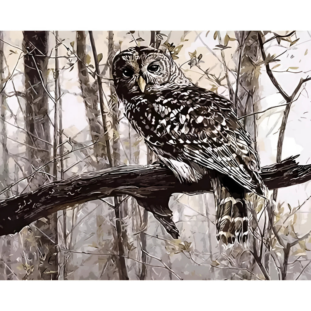 Owl paint by numbers kit on 40x50cm canvas with acrylic paints and brushes