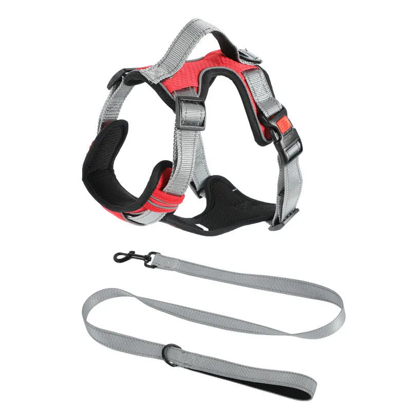Adjustable dog harness with hand holding rope on back in various colours and sizes