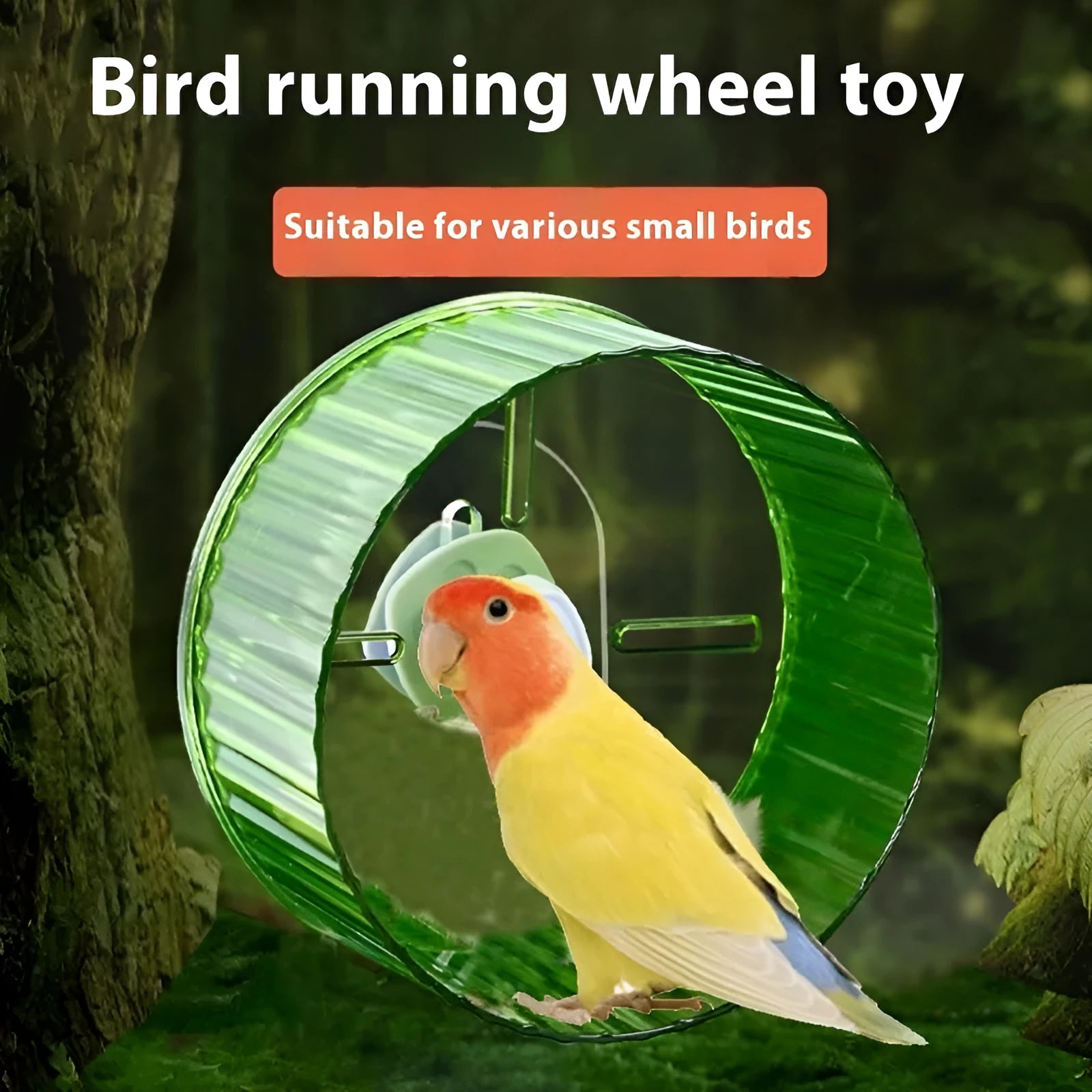Plastic parrot running wheel toy in transparent, green, grey, orange, or purple colour, showing 17cm and 21cm size options.