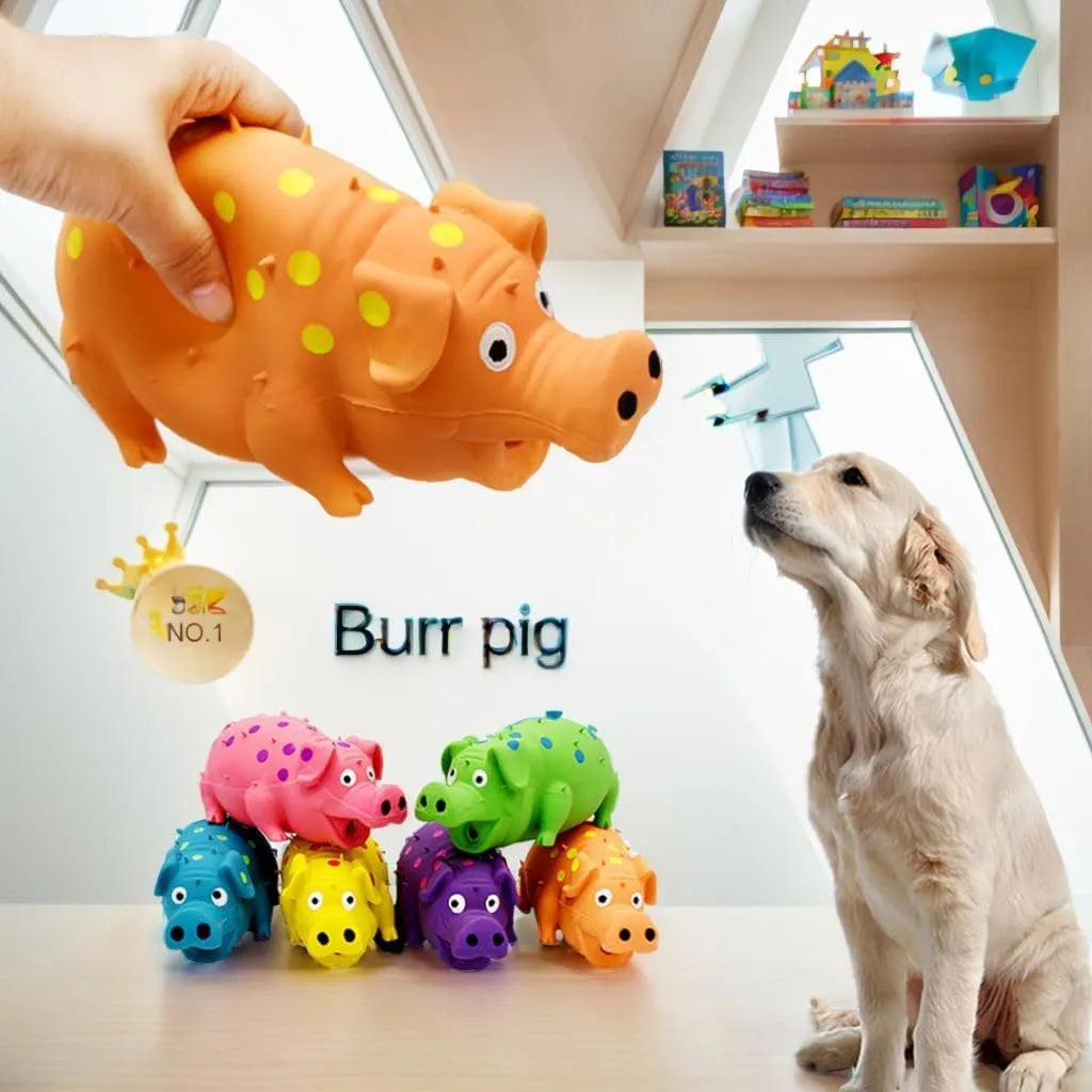 Pig-shaped latex dog chew toy with squeaker in assorted colours